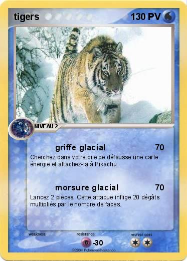 Pokemon tigers 