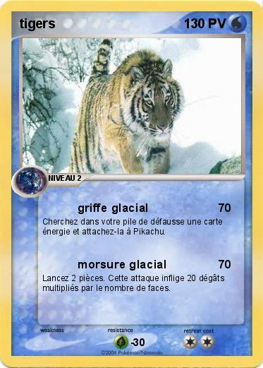 Pokemon tigers 
