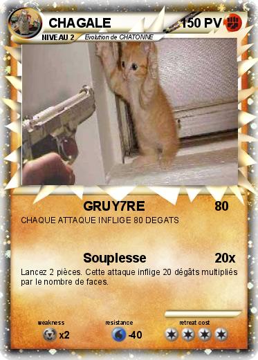 Pokemon CHAGALE