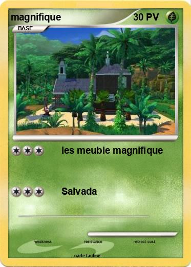 Pokemon magnifique