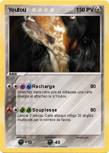 Pokemon Youtou