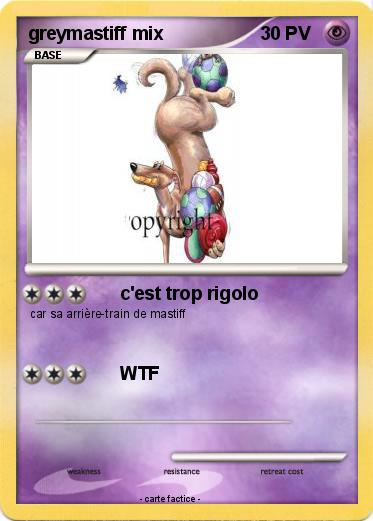 Pokemon greymastiff mix