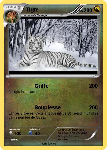 Pokemon Tigre