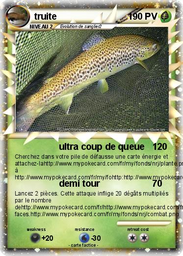 Pokemon truite