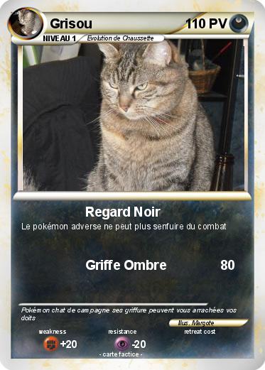Pokemon Grisou