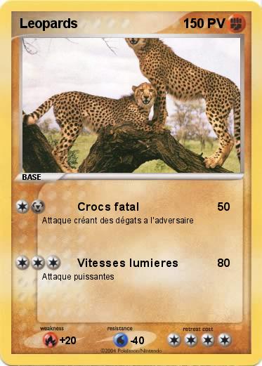 Pokemon Leopards