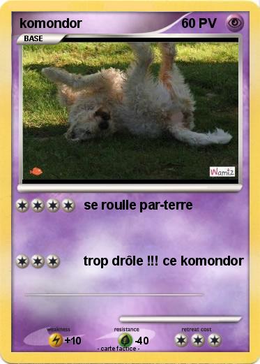 Pokemon komondor