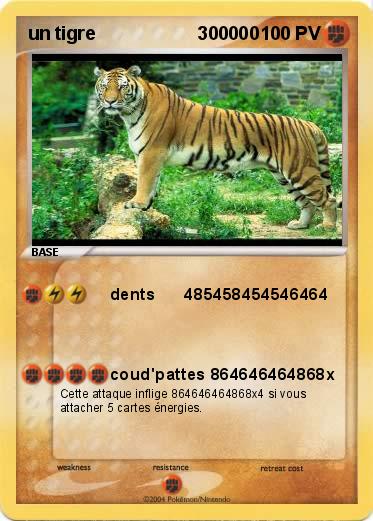 Pokemon un tigre                    300000