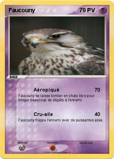 Pokemon Faucouny