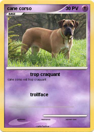 Pokemon cane corso
