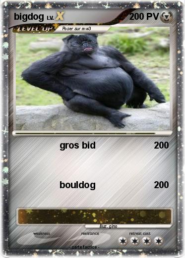 Pokemon bigdog