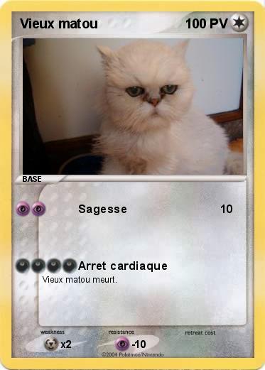Pokemon Vieux matou