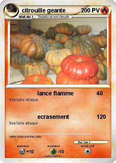 Pokemon citrouille geante