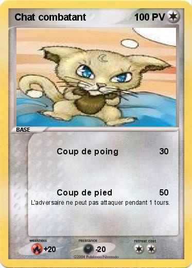 Pokemon Chat combatant