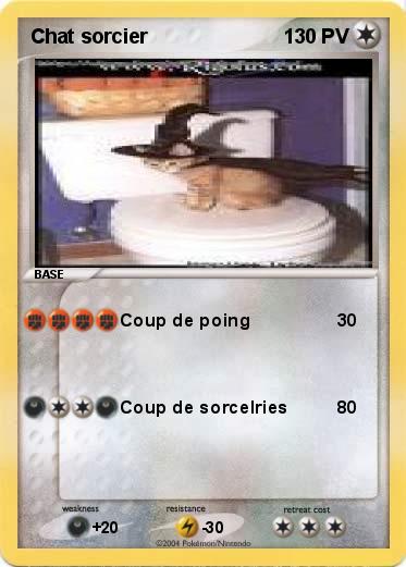 Pokemon Chat sorcier
