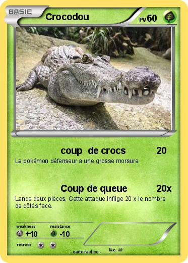 Pokemon Crocodou
