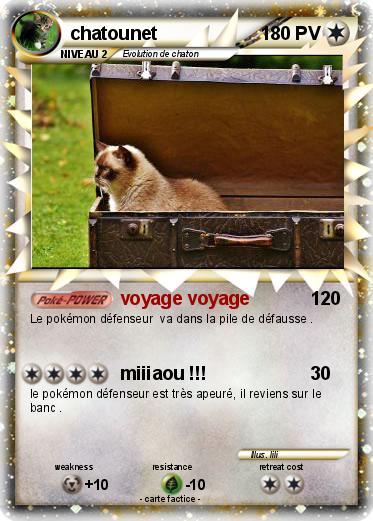 Pokemon chatounet