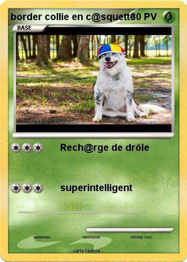 Pokemon border collie en c@squette