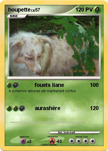 Pokemon houpette