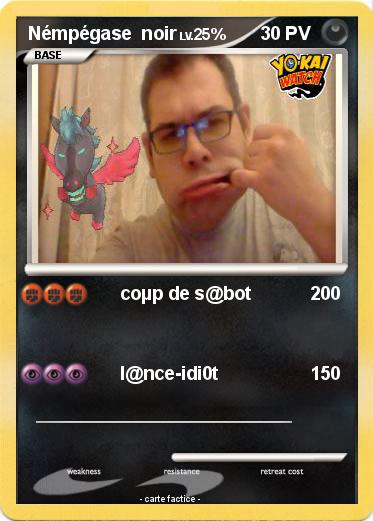 Pokemon Némpégase  noir