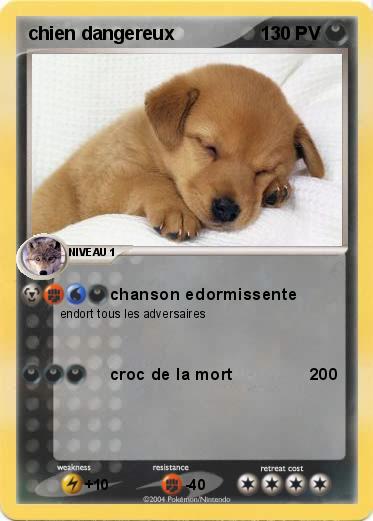 Pokemon chien dangereux