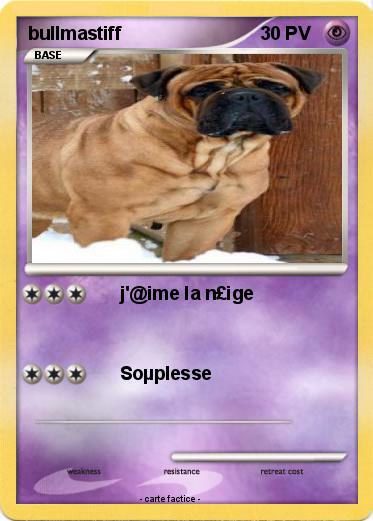 Pokemon bullmastiff