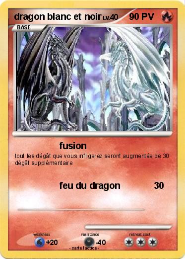 Pokemon dragon blanc et noir