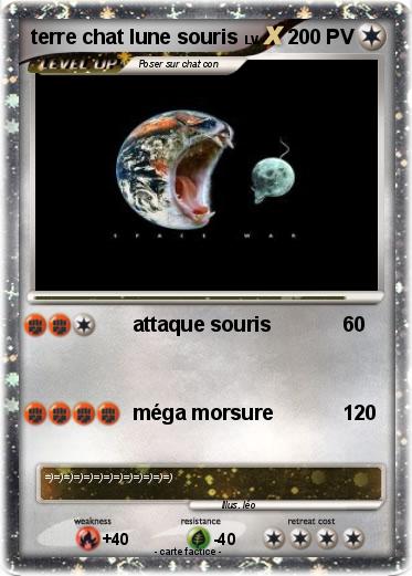 Pokemon terre chat lune souris