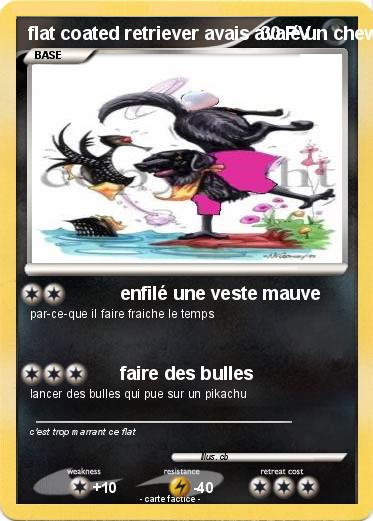 Pokemon flat coated retriever avais avalé un chewing-gomme