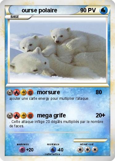 Pokemon ourse polaire