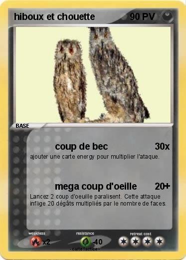 Pokemon hiboux et chouette