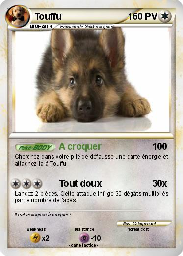 Pokemon Touffu