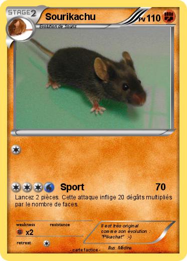 Pokemon Sourikachu