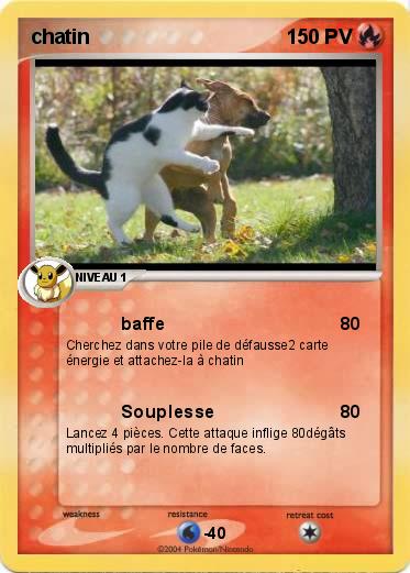 Pokemon chatin                                                                    