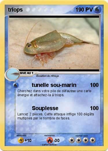 Pokemon triops