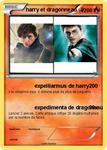 Pokemon harry et dragonneau   9