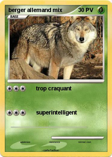 Pokemon berger allemand mix
