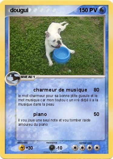 Pokemon  dougui