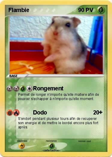 Pokemon Flambie