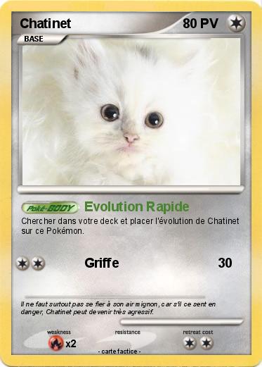 Pokemon Chatinet