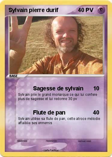 Pokemon Sylvain pierre durif