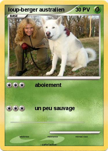 Pokemon loup-berger australien