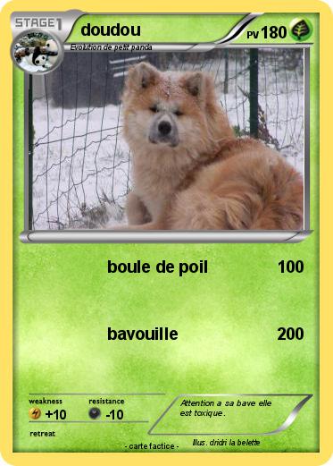 Pokemon doudou