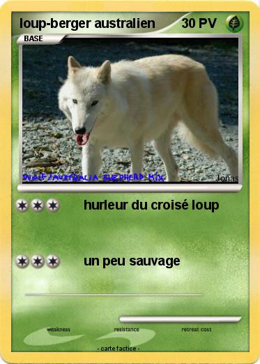 Pokemon loup-berger australien