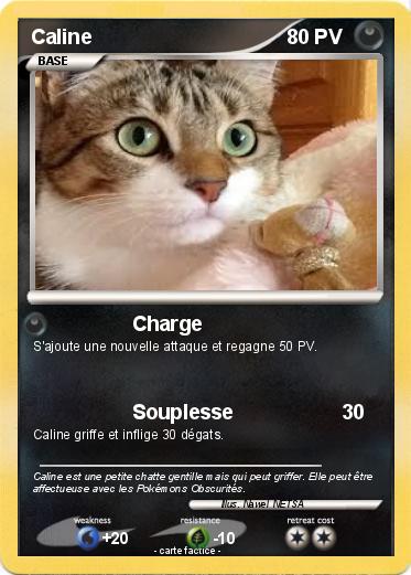 Pokemon Caline