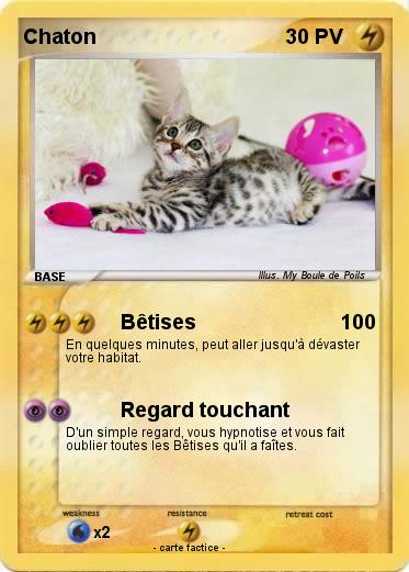Pokemon Chaton