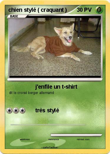 Pokemon chien stylé ( craquant )