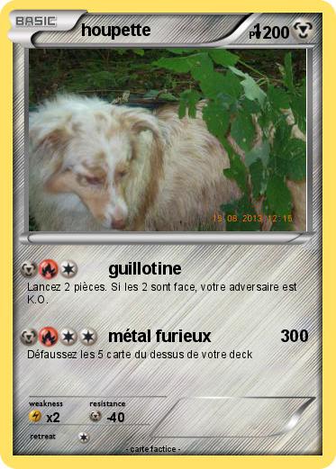 Pokemon houpette                      1