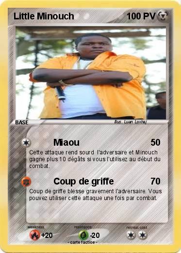 Pokemon Little Minouch