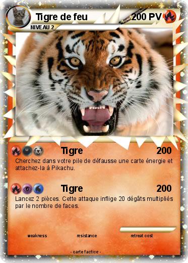 Pokemon Tigre de feu
